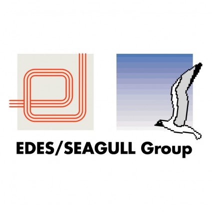 Grupo de gaivota Edes