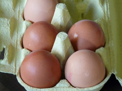 yumurta bir yumurta kutusu
