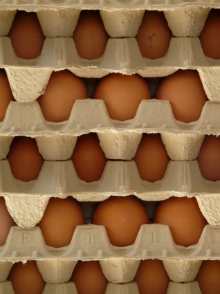 caja del alimento del huevo huevos