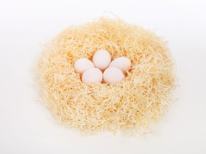 яйца в гнезда