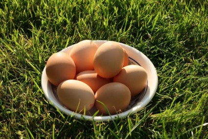 البيض في العشب