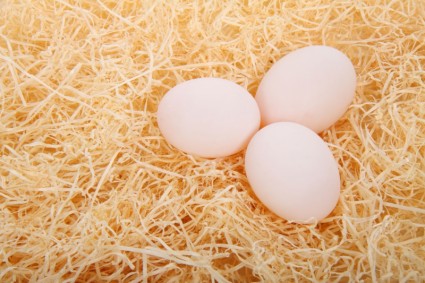 telur di atas jerami