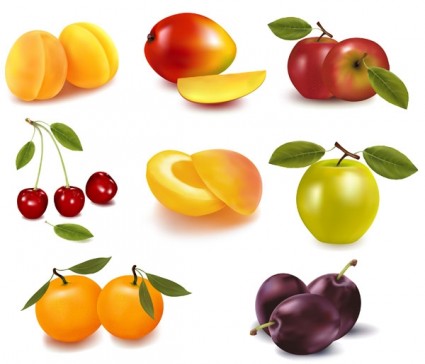 huit sortes de vecteur de fruits