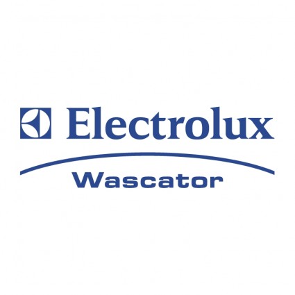 エレクトロラックス wascator
