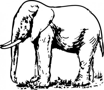 prediseñadas dibujo de elefante