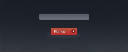 Email Newsletter Form Interface