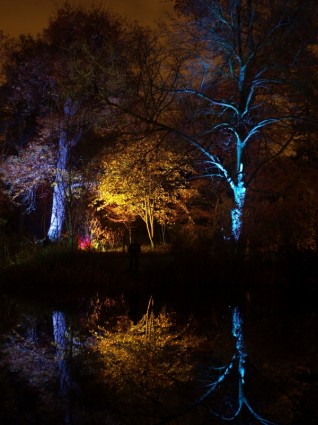 Parque de Inglaterra Gran Bretaña syon enchanted woodland