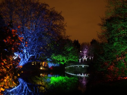 Parque de Inglaterra Gran Bretaña syon enchanted woodland