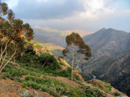 Valle de las montañas de Eritrea