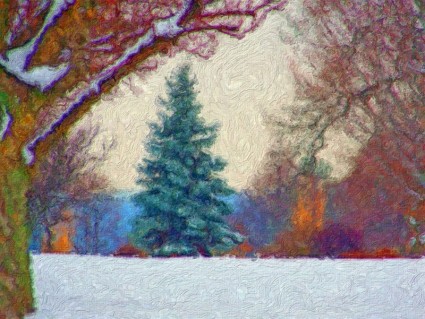 Эвергрин в снегу живопись