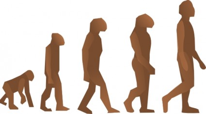 Evolution Steps Clip Art