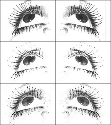 Augen-Pinsel