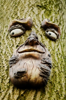 Gesicht auf dem Baum