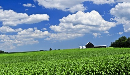 photo de hd pour le paysage agricole