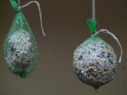 palle di grasso uccello sementi mangimi