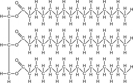 지방 분자