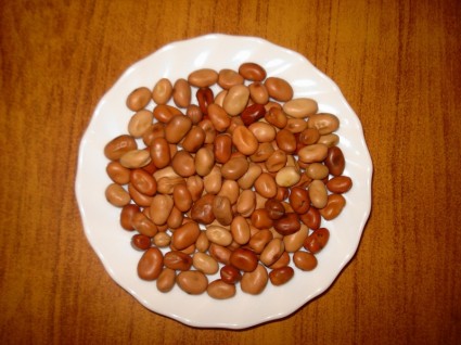 fava 콩 음식 접시