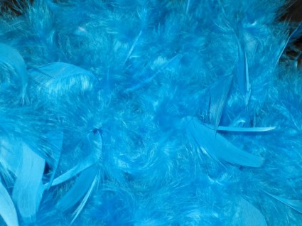 藍色羽毛圍巾圍巾