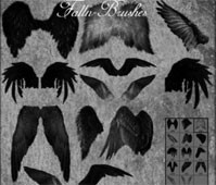 cepillos de alas de angel de plumas