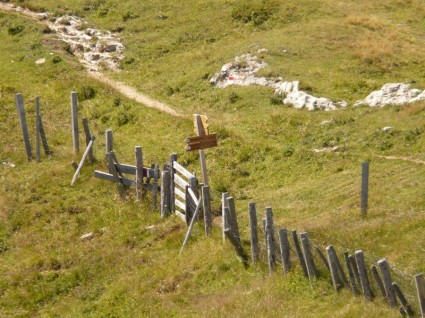 Забор деревянный луг