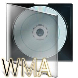 caja de archivo wma