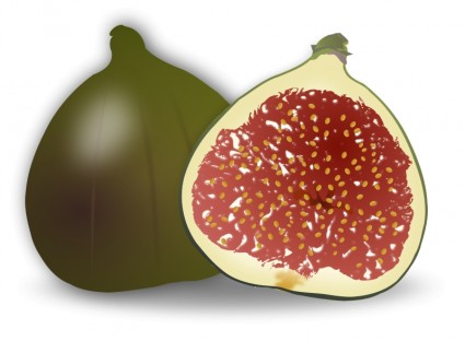 fruto de la Fig.