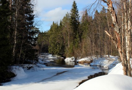 invierno de paisaje de Finlandia