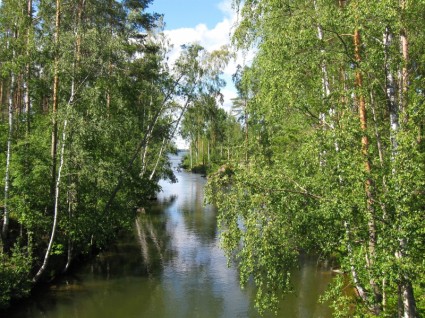 Lac de ruisseaux de Finlande