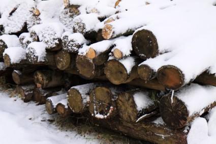 kayu bakar dan salju