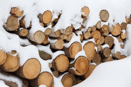 kayu bakar untuk musim dingin