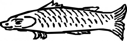 魚剪貼畫