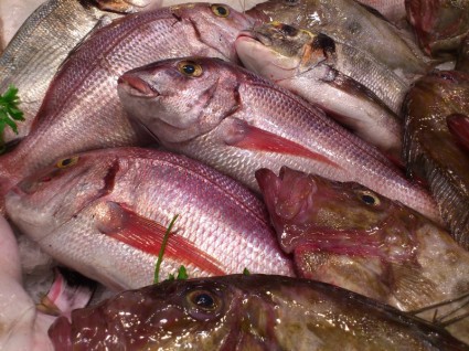 อาหารปลาปลาตลาด