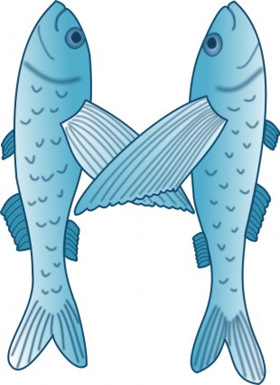 魚形成字母 m