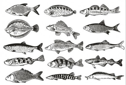 vector de peces patrón monocromo
