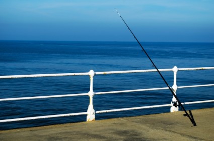صيد السمك في البحر