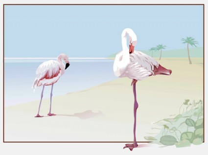 Flamingo Vektor