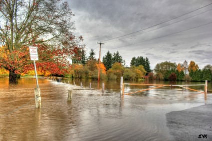 banjir banjir alam