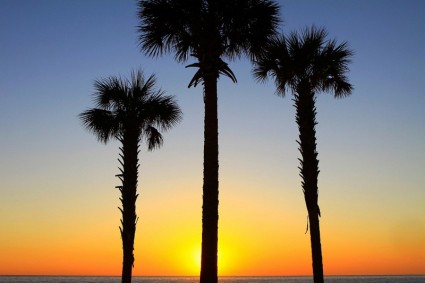 sunrise in Florida