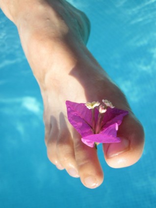 flor e dedos do pé