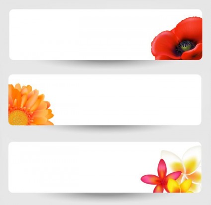 flor banners vector