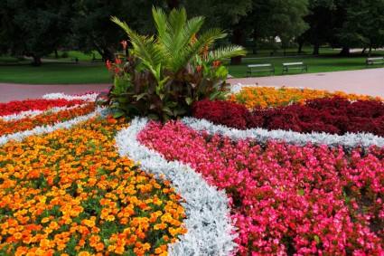 canteiro de flores no Parque