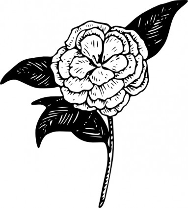 image clipart fleur camélia