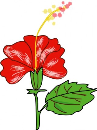 image clipart fleur hibiscus