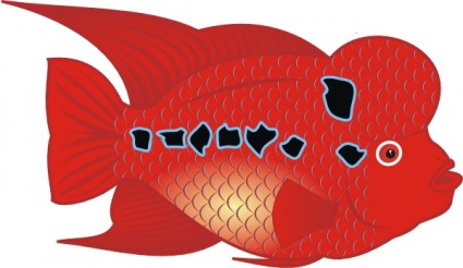 花の角魚のクリップアート