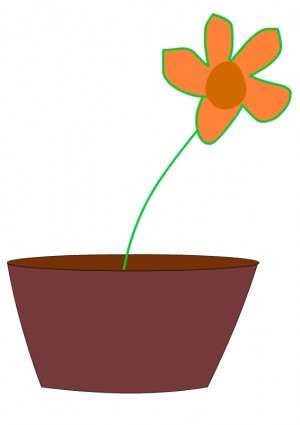 bunga dalam vas