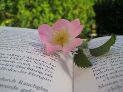 libro de la naturaleza de la flor
