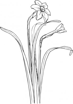 Flower Plant Stem Bush Clip Art