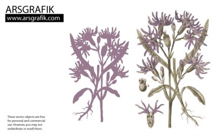 Blumen Vektor von Ars-grafik
