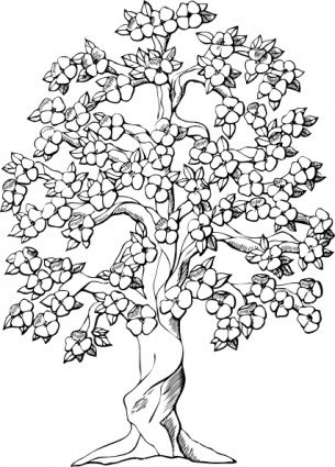 clip-art de floração da árvore