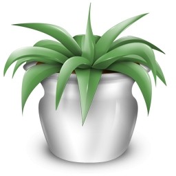 pot bunga
